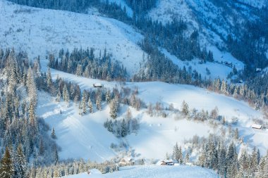 Kış Ukrayna Karpat Dağları manzara.