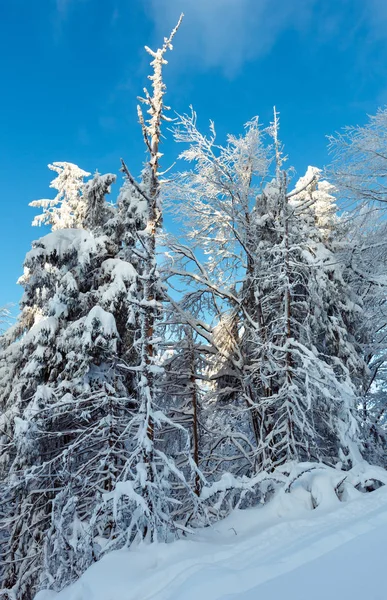 Vinter Karpaterna landskap. — Stockfoto