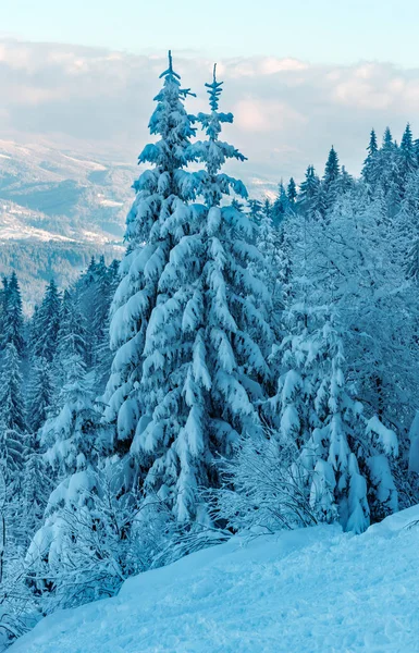 Winter Karpaten Landschaft, Ukraine. — Stockfoto