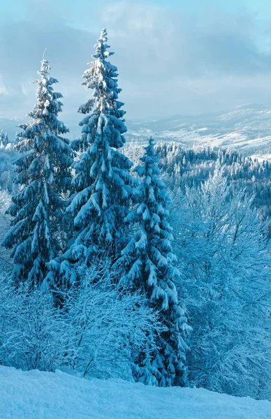 冬天乌克兰喀尔巴阡山脉景观. — 图库照片