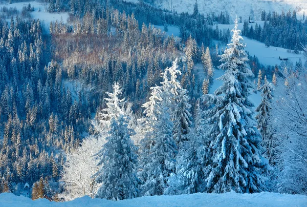 Invierno Cárpatos Montañas paisaje, Ucrania . — Foto de Stock