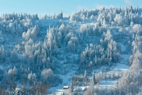 Invierno Ucrania Cárpatos Montañas paisaje . —  Fotos de Stock