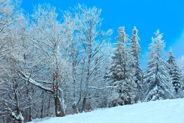 Invierno Cárpatos montañas, Ucrania . —  Fotos de Stock