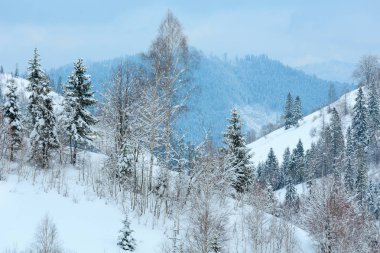 Kış Karpat Dağları manzara.