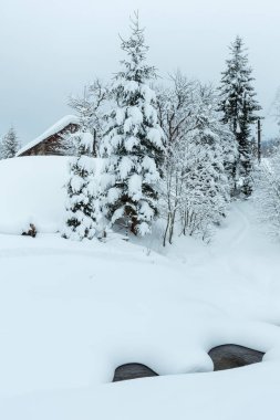 Kış Karpat Köyü.