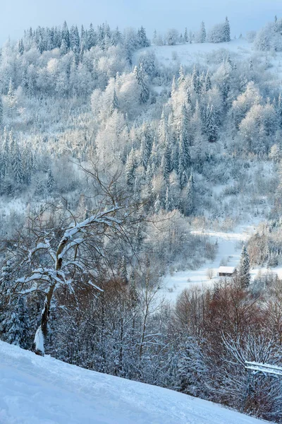 Winter Ukrainian Carpathian Mountains landscape. — Stock Photo, Image