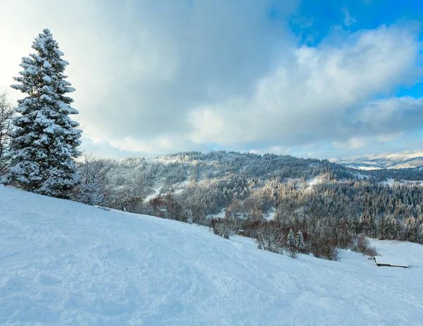 Vinter Karpaterna landskap, Ukraina. — Stockfoto