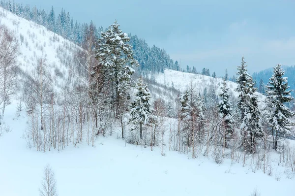 Kış Karpat Dağları manzara. — Stok fotoğraf