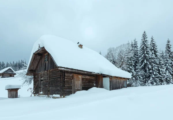 Winter Oekraïense Karpaten landschap. — Stockfoto