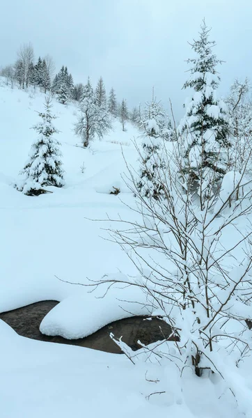 Ruscello in inverno Montagne Carpazie . — Foto Stock