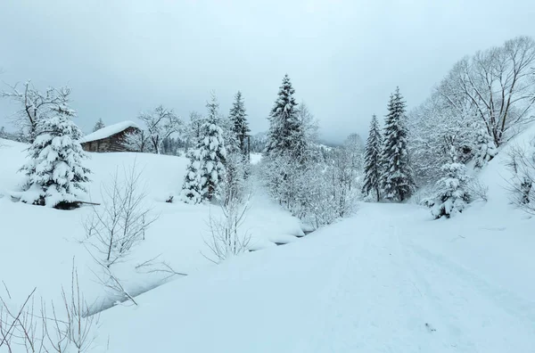 Зимняя карпатская деревня . — стоковое фото
