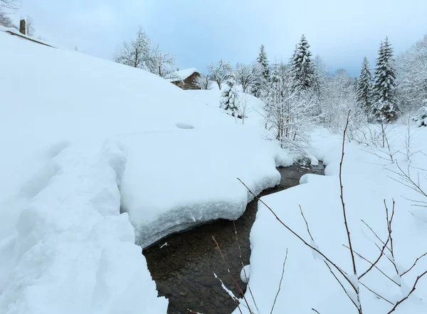 Bach in den Winterkarpaten. — Stockfoto