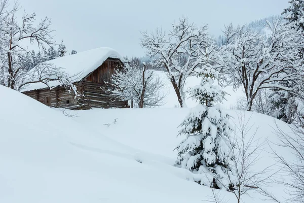Villaggio carpatico invernale . — Foto Stock