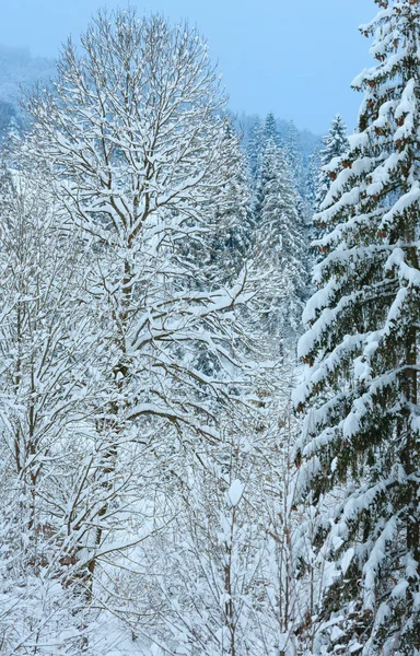 Inverno Carpazi montagne paesaggio . — Foto Stock