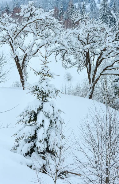 Winter Carpathian Mountains landscape. — Stock Photo, Image