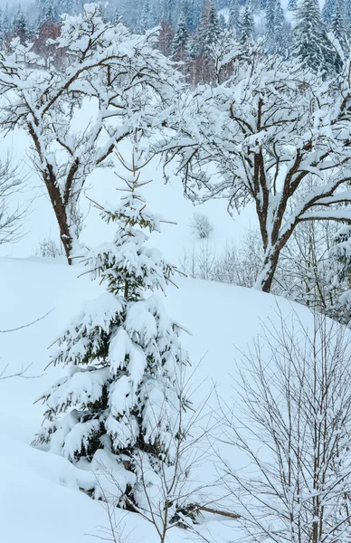 Hiver Carpates paysage de montagnes . — Photo