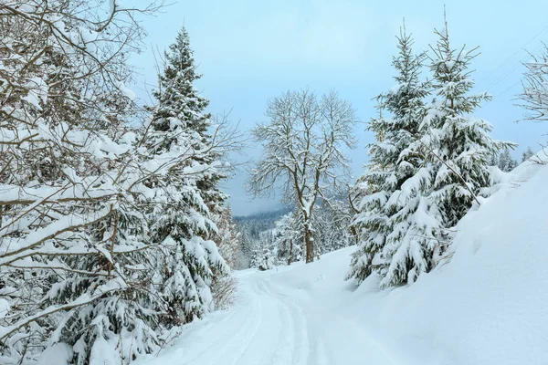 冬季喀尔巴阡山区景观. — 图库照片
