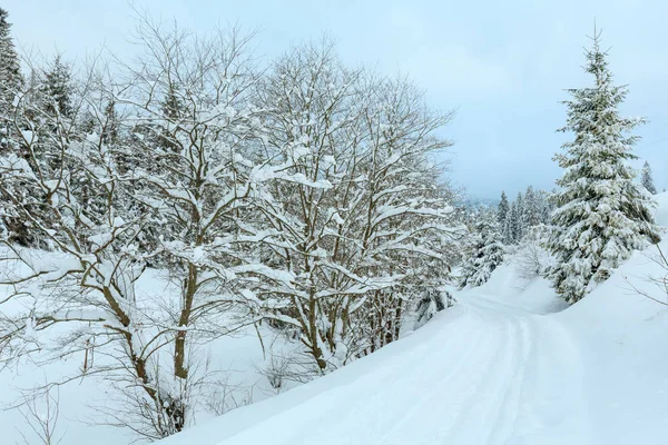 Zimní Karpaty krajina. — Stock fotografie