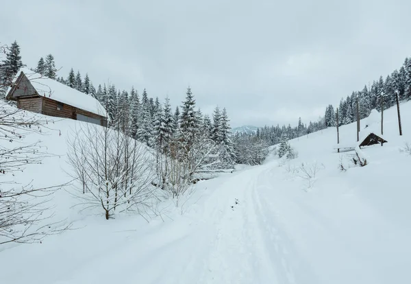 Zimní ukrajinské Karpaty krajina. — Stock fotografie