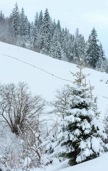 Vinter Karpaterna landskap. — Stockfoto