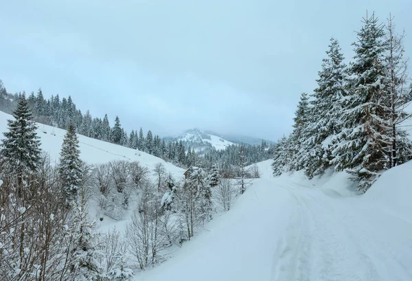 De Karpaten winter landschap. — Stockfoto