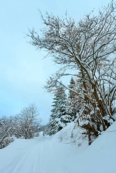 Invierno Cárpatos montañas paisaje . — Foto de Stock