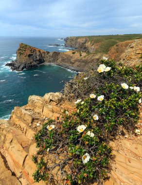 Yaz Atlantik Okyanusu kayalık Sahil (Algarve, Portekiz).