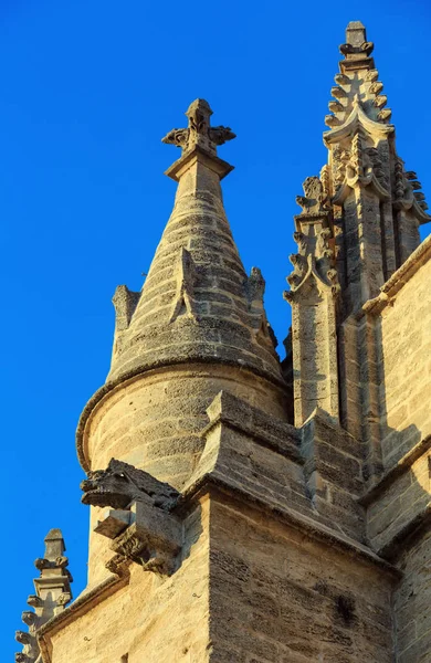 Catedral de Sevilla, España . — Foto de Stock