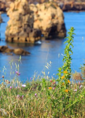 Atlantik kayalık sahil görünümü (Albufeira, Algarve, Portekiz).