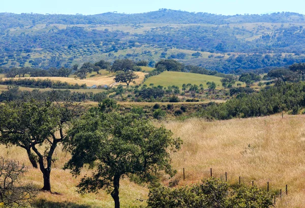 Summer country landscape. — Stock Photo, Image