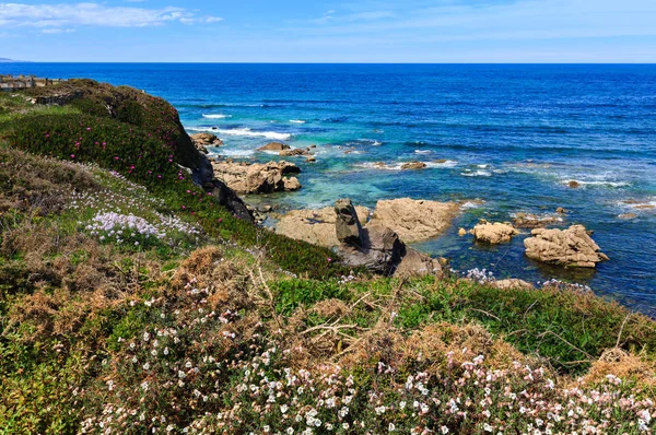 Verão florescendo costa atlântica (Galiza ). — Fotografia de Stock