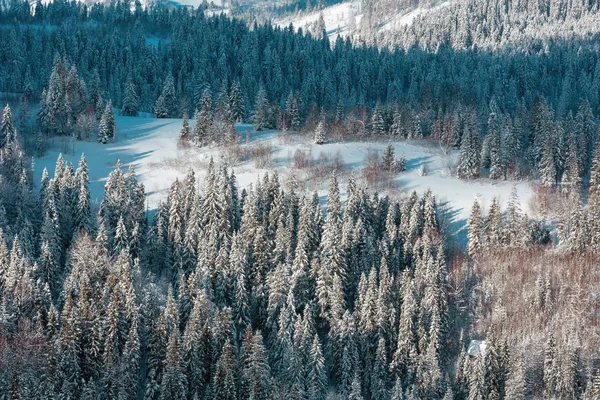 Inverno ucraniano montanhas dos Cárpatos paisagem . — Fotografia de Stock