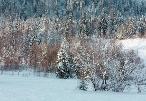 冬のカルパティア山脈を風景します。. — ストック写真