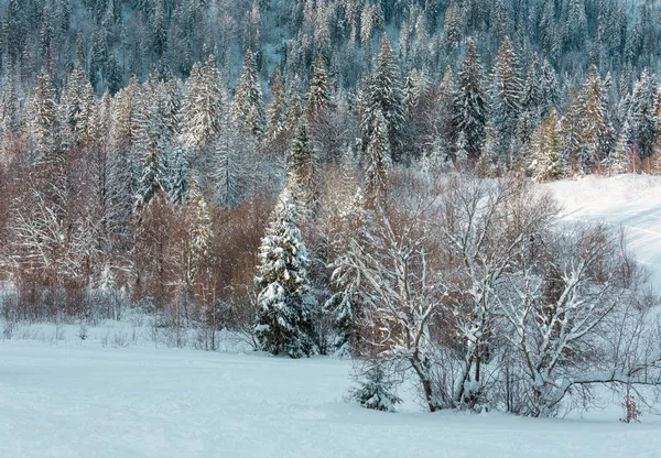 De Karpaten winter landschap. — Stockfoto