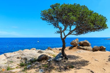 Costa Brava yaz sahne, İspanya.