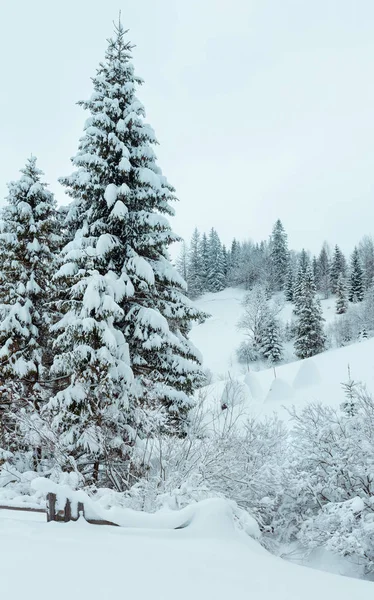 Vinter Karpaterna landskap. — Stockfoto