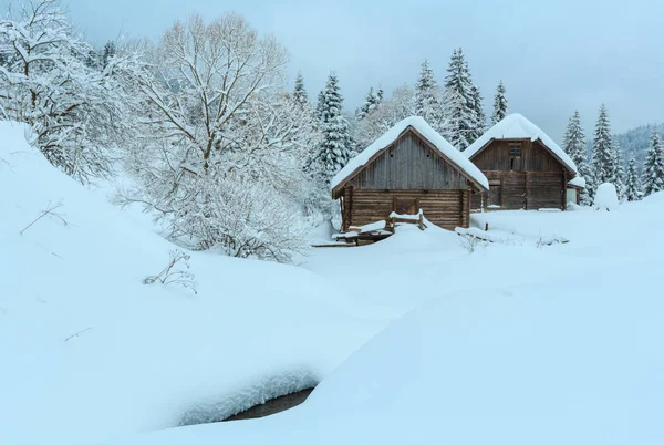 Inverno Carpazi montagne paesaggio . — Foto Stock