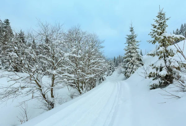 Inverno Carpazi montagne paesaggio . — Foto Stock