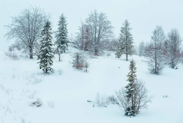 Winterkarpaten-Landschaft. — Stockfoto