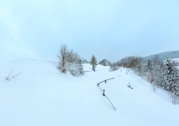 Invierno Cárpatos montañas paisaje . —  Fotos de Stock