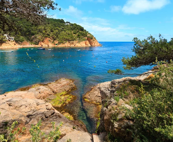 Tamariu bay, Costa Brava, Spain. — Stockfoto