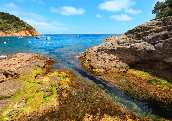 Tamariu bay, Costa Brava, Spain. — стокове фото