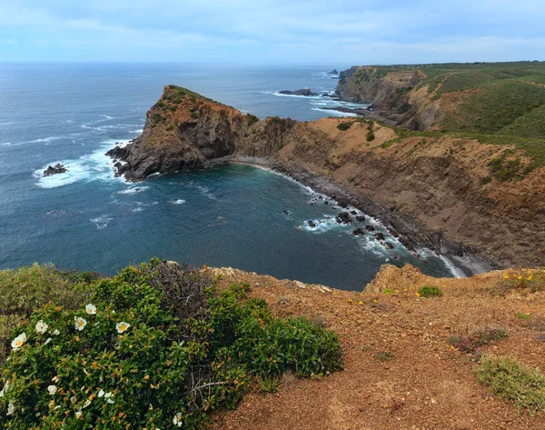 Côte Atlantique d'été (Algarve, Portugal) ). — Photo