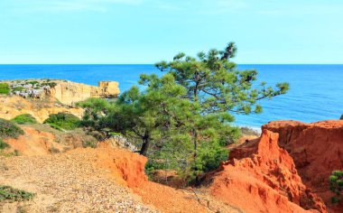 Atlantik kayalık sahil görünümü (Algarve, Portekiz).