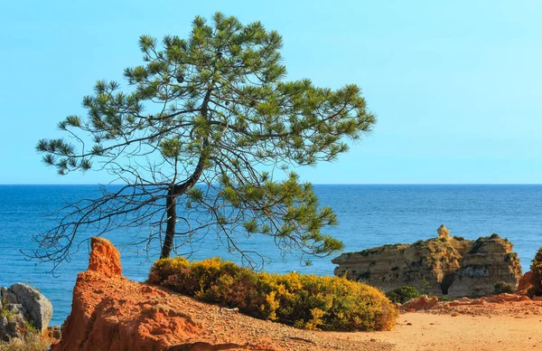 Вид на Атлантическое побережье летом (Альбукерра, Португалия) ). — стоковое фото