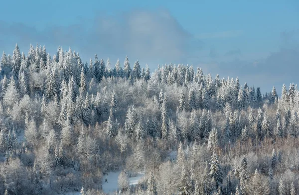 Kış Ukrayna Karpat Dağları manzara. — Stok fotoğraf