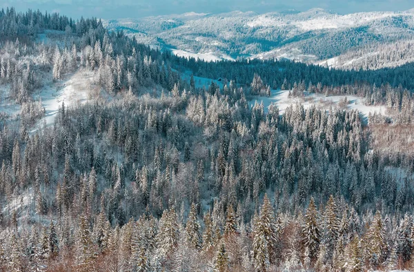 Winter Ukrainian Carpathian Mountains landscape. — Stock Photo, Image