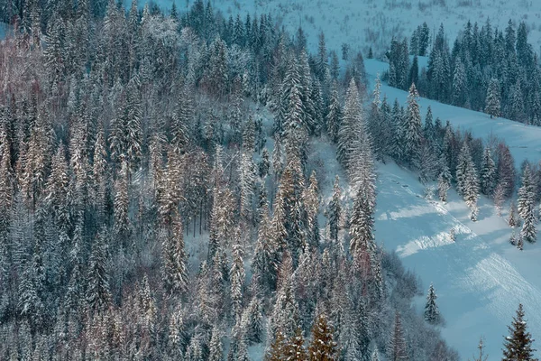 Zimní ukrajinské Karpaty krajina. — Stock fotografie