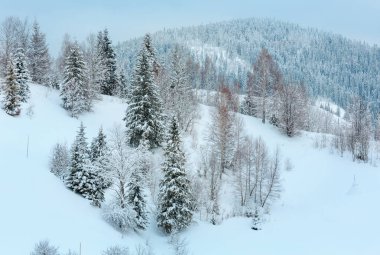 Kış Ukrayna Karpat Dağları manzara.