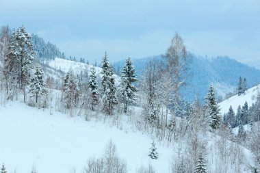 Kış Ukrayna Karpat Dağları manzara.